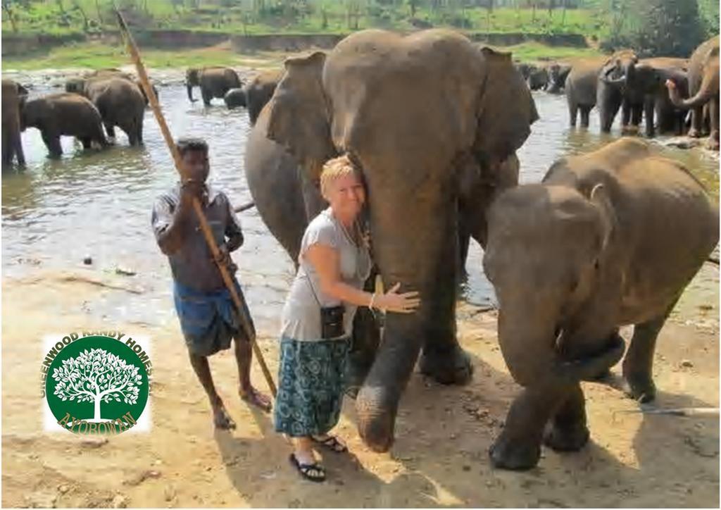 Greenwood Kandy Homestay Eksteriør bilde
