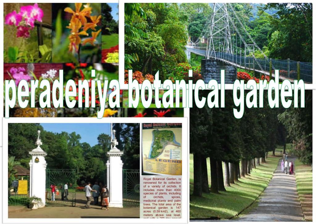Greenwood Kandy Homestay Eksteriør bilde