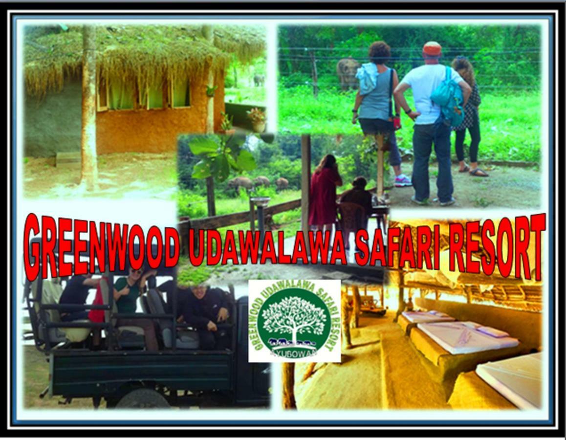 Greenwood Kandy Homestay Eksteriør bilde