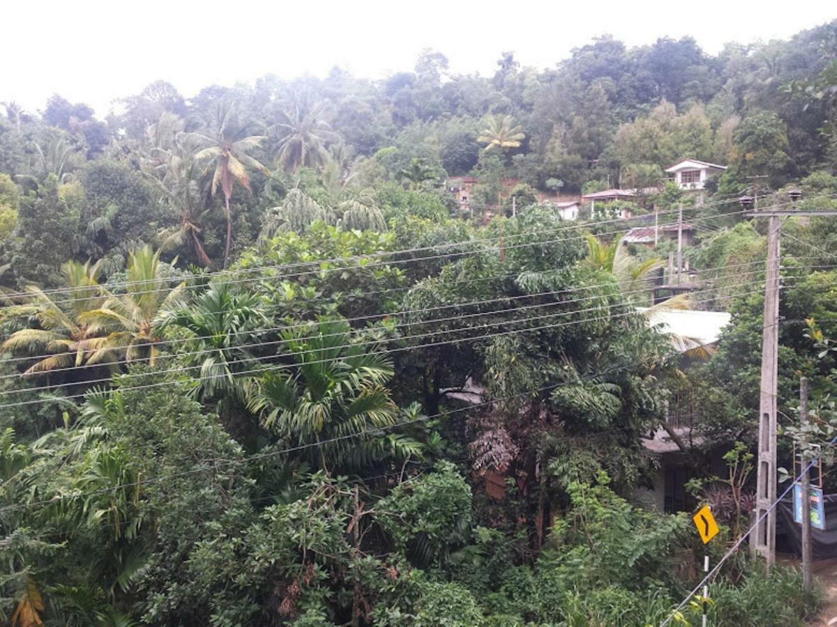 Greenwood Kandy Homestay Eksteriør bilde