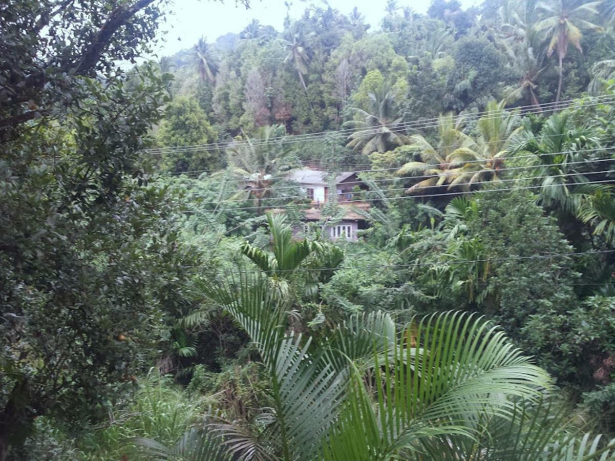 Greenwood Kandy Homestay Eksteriør bilde